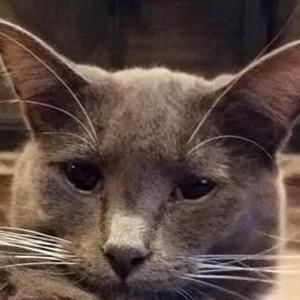 Meet your Posher, Kaleb